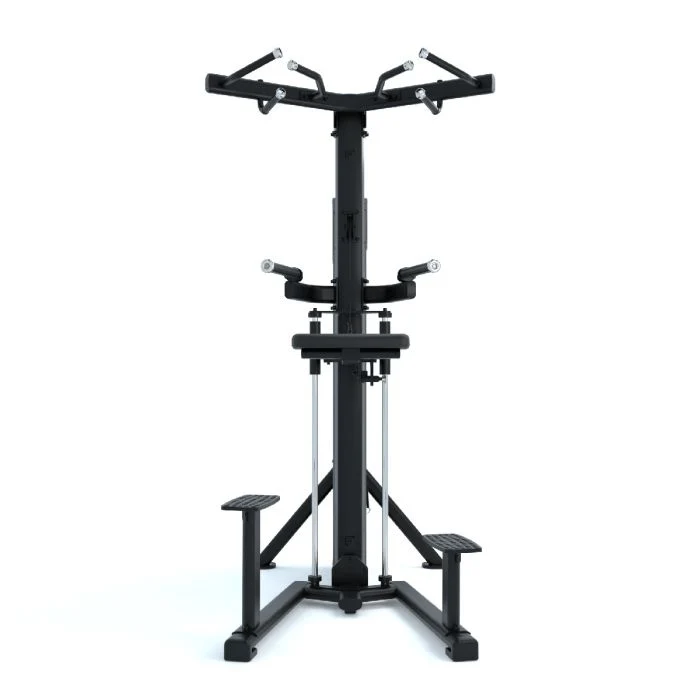Dips et Tractions Assistées Ridge Series