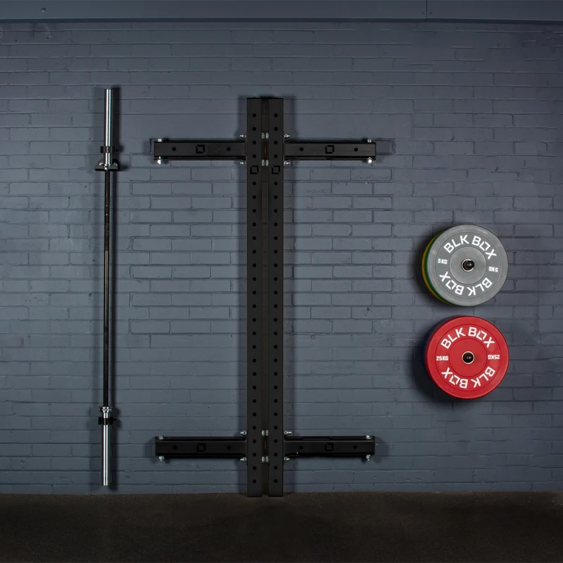 1 Series Folding Squat Rack