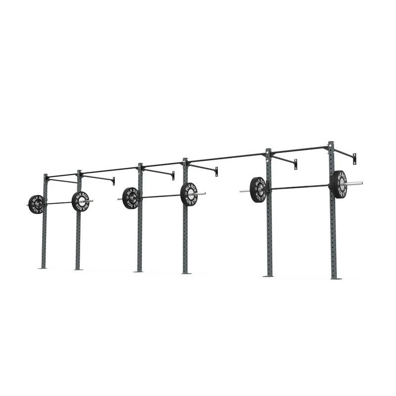 3 Series Wall Mounted Rigs