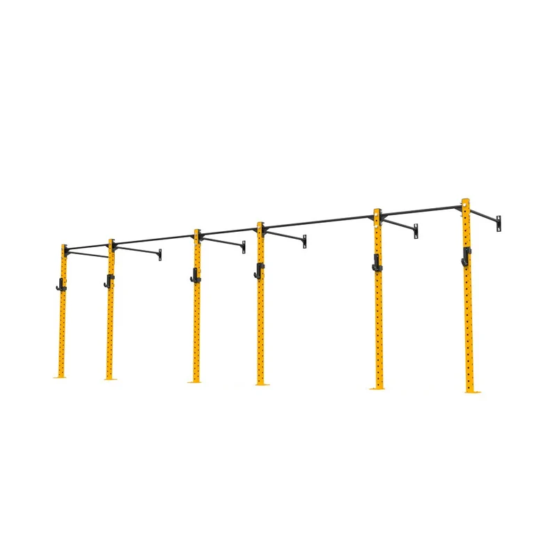 3 Series Wall Mounted Rigs