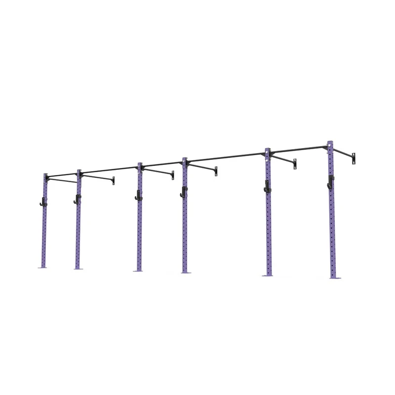 3 Series Wall Mounted Rigs