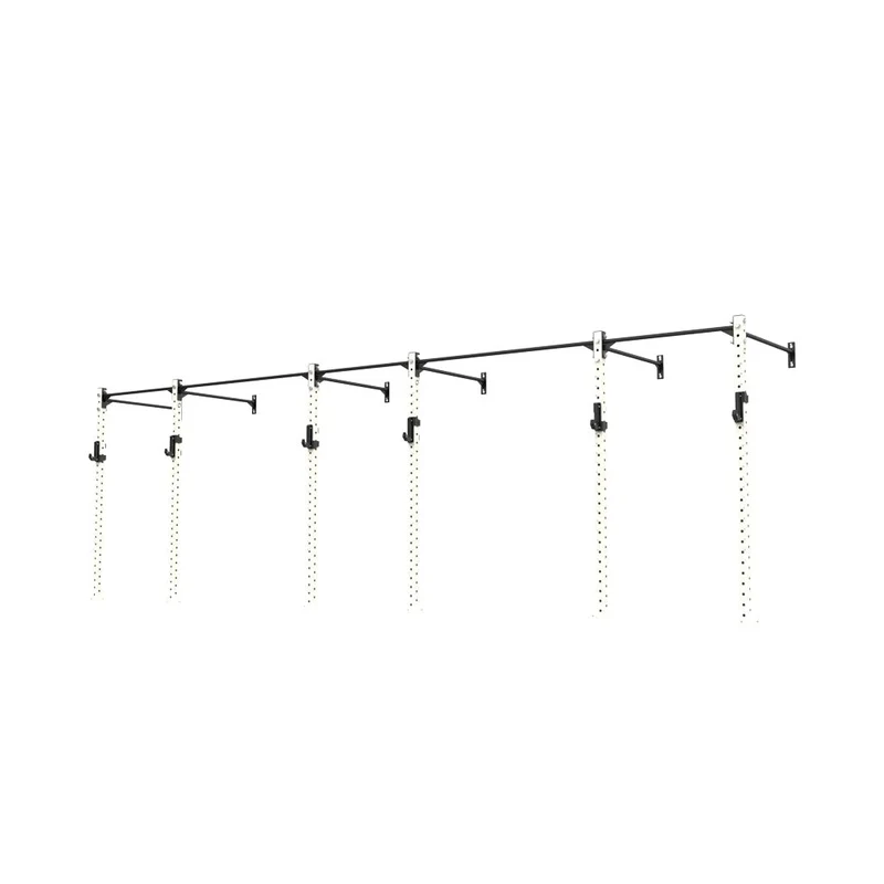 3 Series Wall Mounted Rigs