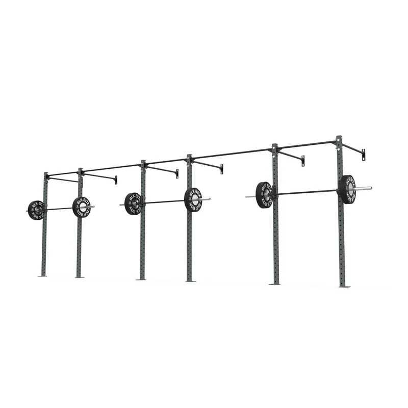 3 Series Wall Mounted Rigs
