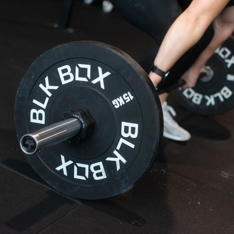 Utility Bumper Weight Plates