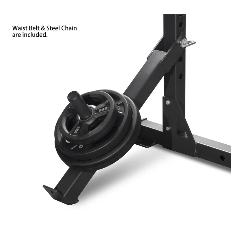 ACCESSOIRE DE BELT SQUAT POUR LES RACKS