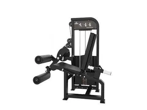 Leg Curl Assis Elite Series