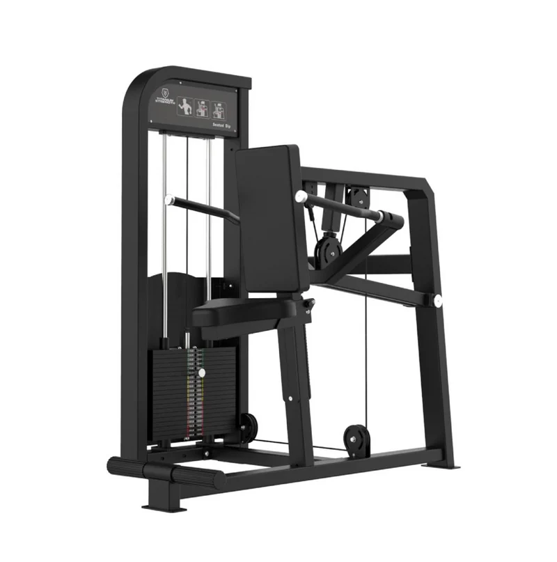 DIPS DE TRICEPS ELITE SERIES