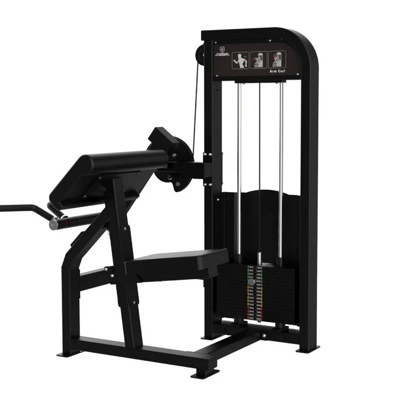 CURL DES BICEPS ELITE SERIES