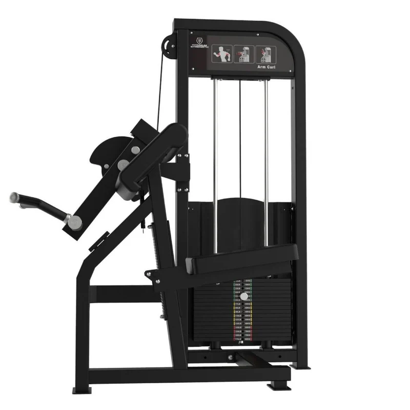 CURL DES BICEPS ELITE SERIES