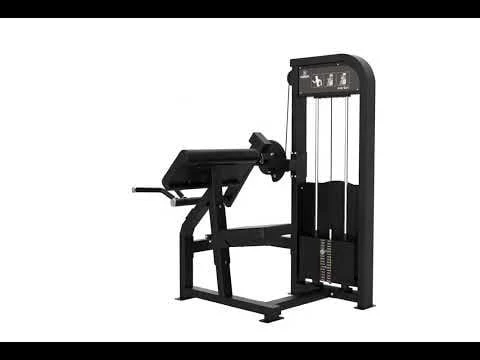 CURL DES BICEPS ELITE SERIES